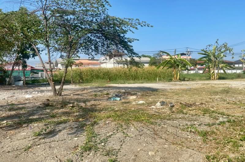 ถนนเฉลิมพระเกียรติรัชกาลที่ 9 ซอยร่วมสามัคคี, Bangkok, เฉลิมพระเกียรติรัชกาลที่ 9, Dok Mai, Prawet, Bangkok, , 1,384 sqm, Land For Sale, by คุณเอ, 500191414 - DDproperty.com