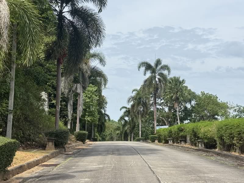 Paklok, ภูเก็ต, ป่าคลอก, ถลาง, ภูเก็ต, 3,184 ตร.ม., ที่ดิน ขาย, โดย Orawan​ Nueangchompoo, 500191492 - DDproperty.com