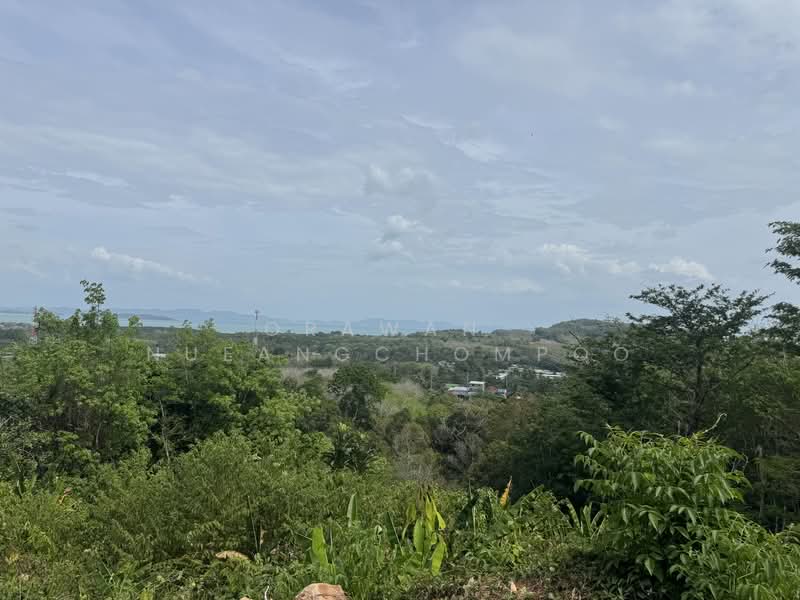Land for sale hillside Paklok, Phuket, Pa Khlok, Thalang, Phuket, , 3,184 sqm, Land For Sale, by Orawan​ Nueangchompoo, 500191492 - DDproperty.com