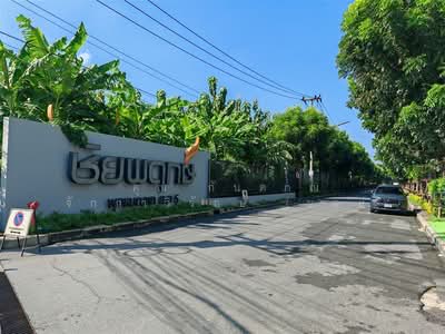 ขาย - Chaiyapruk Phutthamonthon Sai 5 : ชัยพฤกษ์ พุทธมณฑล สาย 5, นครปฐม