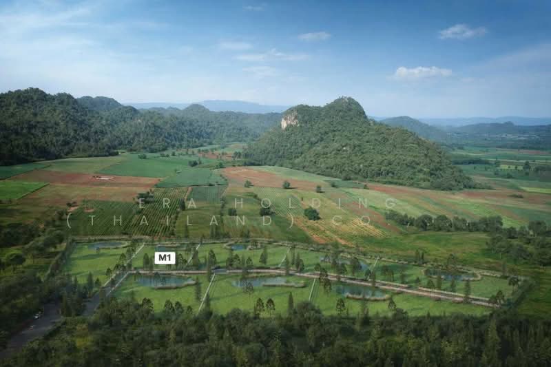 Myeson Valley, นครราชสีมา, คลองม่วง, ปากช่อง, นครราชสีมา, 4,104 ตร.ม., ที่ดิน ขาย, โดย ERA Holding (Thailand) Co., Ltd., 500191535 - DDproperty.com