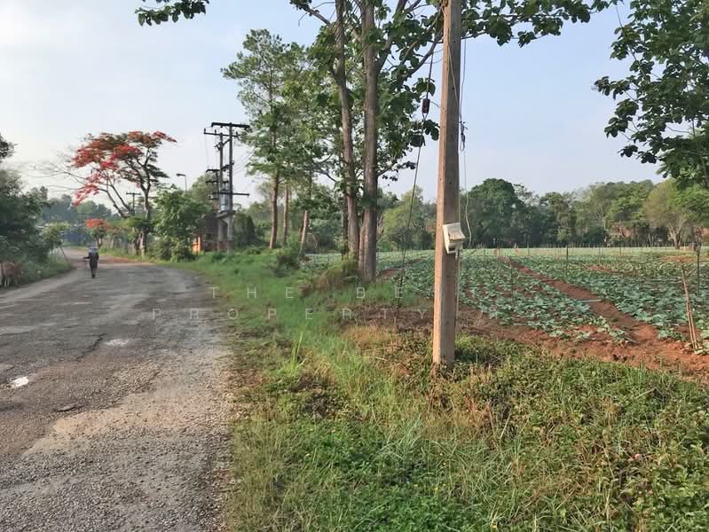 ที่ดินเขาค้อ เพชรบูรณ์, เพชรบูรณ์, ทุ่งสมอ, เขาค้อ, เพชรบูรณ์, 1,524 ตร.ม., ที่ดิน ขาย, โดย The Best Property ติ๋ว, 500191550 - DDproperty.com