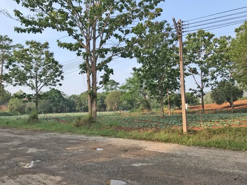 ที่ดินเขาค้อ เพชรบูรณ์, เพชรบูรณ์, ทุ่งสมอ, เขาค้อ, เพชรบูรณ์, 1,524 ตร.ม., ที่ดิน ขาย, โดย The Best Property ติ๋ว, 500191550 - DDproperty.com