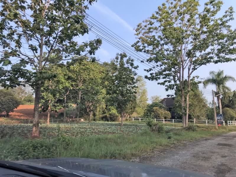ที่ดินเขาค้อ เพชรบูรณ์, เพชรบูรณ์, ทุ่งสมอ, เขาค้อ, เพชรบูรณ์, 1,524 ตร.ม., ที่ดิน ขาย, โดย The Best Property ติ๋ว, 500191550 - DDproperty.com