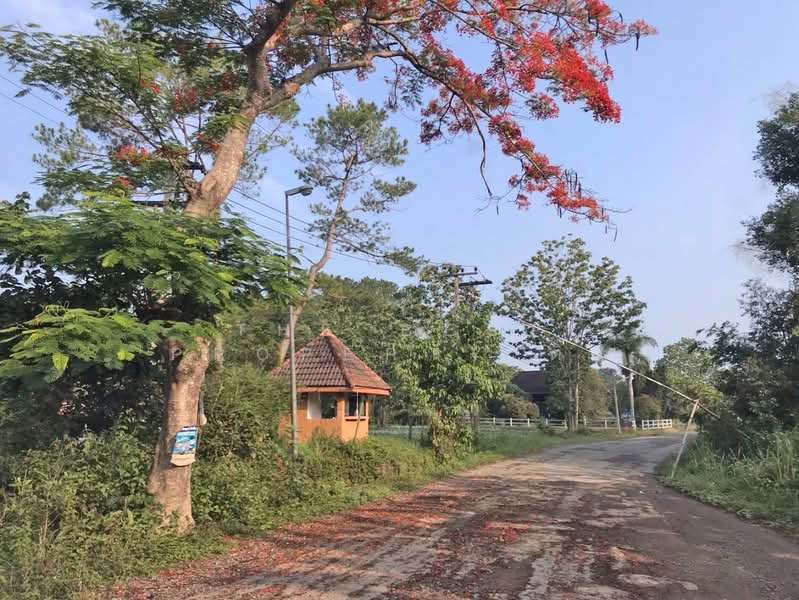 ที่ดินเขาค้อ เพชรบูรณ์, Phetchabun, Thung Samo, Khao Kho, Phetchabun, , 1,524 sqm, Land For Sale, by The Best Property ติ๋ว, 500191550 - DDproperty.com