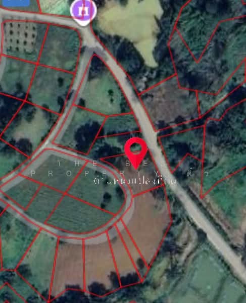 ที่ดินเขาค้อ เพชรบูรณ์, Phetchabun, Thung Samo, Khao Kho, Phetchabun, , 1,524 sqm, Land For Sale, by The Best Property ติ๋ว, 500191550 - DDproperty.com