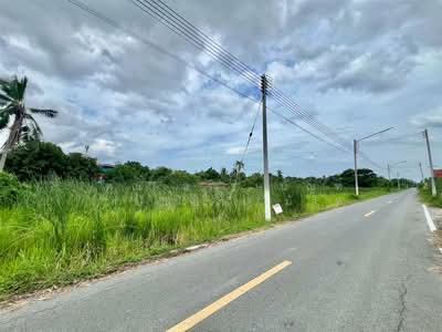 ขาย - ที่ดินเปล่า 82 ตร.ว. ที่ดิน ซอยมหาสวัสดิ์ ซอย14 ถนนพุทธมณฑลสาย4, นครปฐม