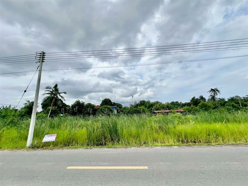 ขาย - ที่ดินเปล่า 82 ตร.ว. ที่ดิน ซอยมหาสวัสดิ์ ซอย14 ถนนพุทธมณฑลสาย4, นครปฐม