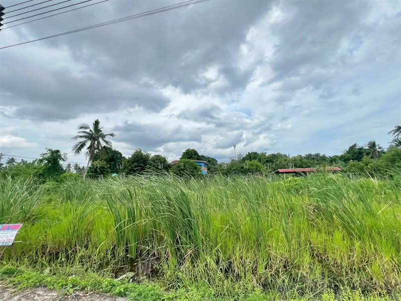 ขาย - ที่ดินเปล่า 82 ตร.ว. ที่ดิน ซอยมหาสวัสดิ์ ซอย14 ถนนพุทธมณฑลสาย4, นครปฐม