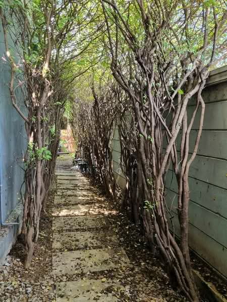 The connect 15 onnut, Bangkok, Soi 1, Prawet, Prawet, Bangkok, 4 Bedrooms, 165 sqm, Townhouse For Sale, by Sirinan Ruangchoti, 500191569 - DDproperty.com