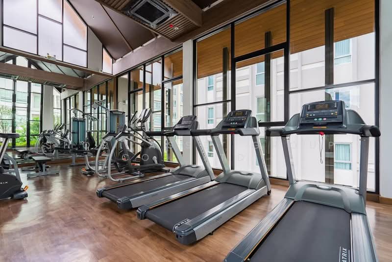 Dcondo Rin, Chiang Mai, Super Highway Rd. Chiang Mai - Lampang, Fa Ham, Muang Chiang Mai, Chiang Mai, Studio, 29 sqm, Condo For Sale, by Shori Asset Group Co., Ltd., 500191572 - DDproperty.com