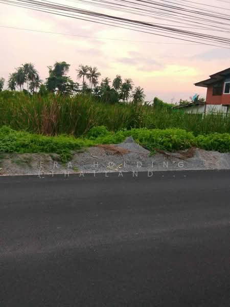 ผังชมพู, Nakhon Pathom, Tha Talat, Sam Phran, Nakhon Pathom, , 6,384 sqm, Land For Sale, by ERA Holding (Thailand) Co., Ltd., 500191590 - DDproperty.com