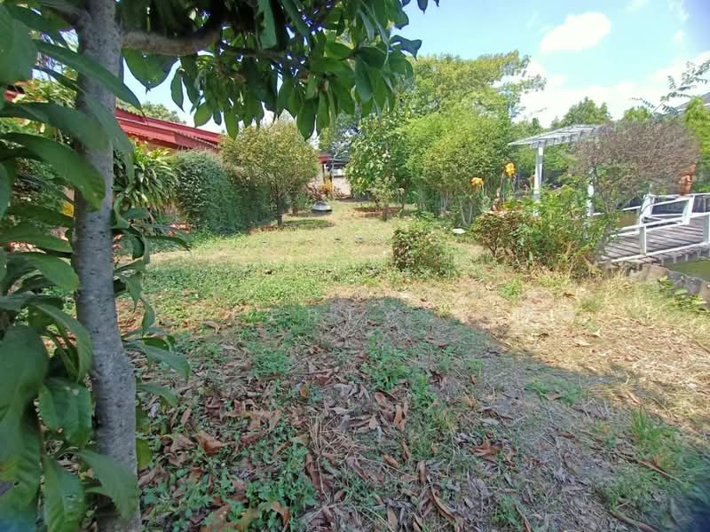 บ้านเดี่ยวคลองนครเนื่องเขต ฉะเชิงเทรา, ฉะเชิงเทรา, คลองนครเนื่องเขต, เมืองฉะเชิงเทรา, ฉะเชิงเทรา, 150 ตร.ม., บ้านเดี่ยว ขาย, โดย The Best Property เครือ, 500191620 - DDproperty.com