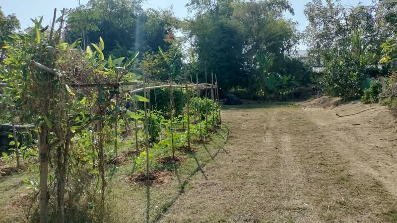 ที่ดินในเมือง พิษณุโลก, Phitsanulok, Nai Muang, Muang Phitsanulok, Phitsanulok, , 892 sqm, Land For Sale, by The Best Property ณิชา, 500191667 - DDproperty.com