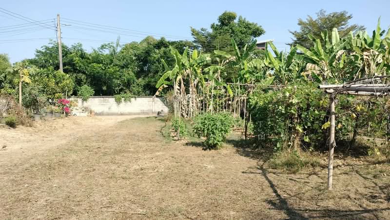 ที่ดินในเมือง พิษณุโลก, Phitsanulok, Nai Muang, Muang Phitsanulok, Phitsanulok, , 892 sqm, Land For Sale, by The Best Property ณิชา, 500191667 - DDproperty.com