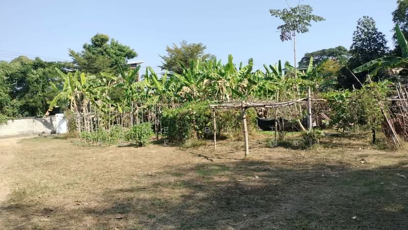 ที่ดินในเมือง พิษณุโลก, Phitsanulok, Nai Muang, Muang Phitsanulok, Phitsanulok, , 892 sqm, Land For Sale, by The Best Property ณิชา, 500191667 - DDproperty.com