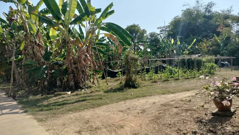 ที่ดินในเมือง พิษณุโลก, Phitsanulok, Nai Muang, Muang Phitsanulok, Phitsanulok, , 892 sqm, Land For Sale, by The Best Property ณิชา, 500191667 - DDproperty.com