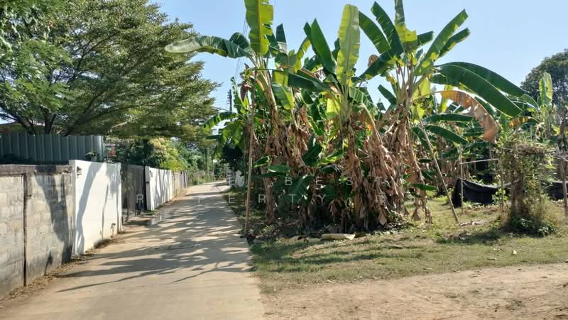 ที่ดินในเมือง พิษณุโลก, Phitsanulok, Nai Muang, Muang Phitsanulok, Phitsanulok, , 892 sqm, Land For Sale, by The Best Property ณิชา, 500191667 - DDproperty.com
