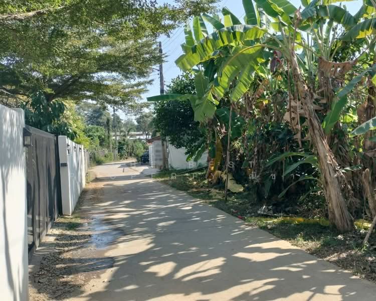 ที่ดินในเมือง พิษณุโลก, พิษณุโลก, ในเมือง, เมืองพิษณุโลก, พิษณุโลก, 892 ตร.ม., ที่ดิน ขาย, โดย The Best Property ณิชา, 500191667 - DDproperty.com