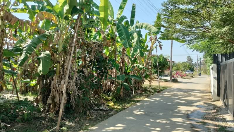 ที่ดินในเมือง พิษณุโลก, Phitsanulok, Nai Muang, Muang Phitsanulok, Phitsanulok, , 892 sqm, Land For Sale, by The Best Property ณิชา, 500191667 - DDproperty.com