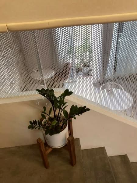 WPDD-099 ขาย ทาวน์โฮม 4 ชั้น ซอยทองหล่อ 19 ( สุขุมวิท 55 ), Bangkok, Khlong Tan Nua, Watthana, Bangkok, 3 Bedrooms, 220 sqm, Single Detached House For Sale, by วันวิสาข์ ปัญจรงคะ, 500191692 - DDproperty.com