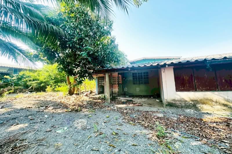 ซอยบ้านบางไทรตำบลบางคูรัด, Nonthaburi, Bang Khu Rat, Bang Bua Thong, Nonthaburi, , 912 sqm, Land For Sale, by คุณปอย, 500191700 - DDproperty.com