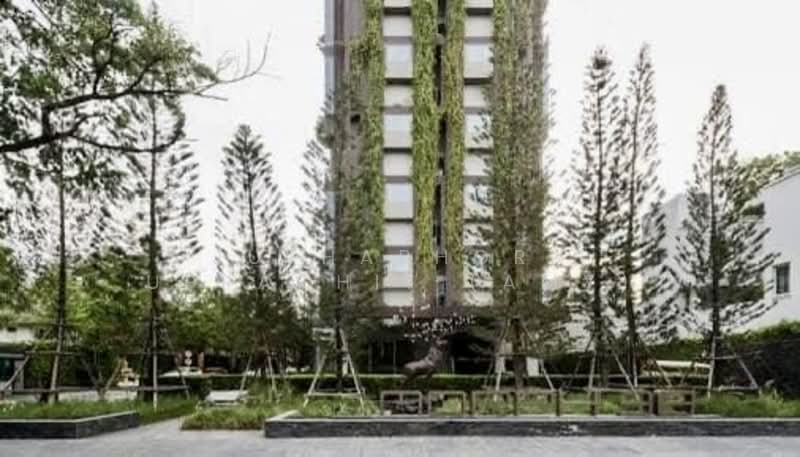 IDEO Morph 38, Bangkok, 88 Sukhumvit Road, Phra Kanong, Khlong Toei, Bangkok, 1 Bedroom, 36 sqm, Condo For Rent, by Juthabhorn Uppachit (Amy), 500191960 - DDproperty.com