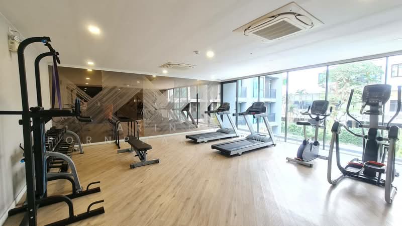 Serio Sukhumvit 50, Bangkok, Soi Sukhumvit 50, Phra Kanong, Khlong Toei, Bangkok, 1 Bedroom, 27 sqm, Condo For Rent, by Arinchaya Pornphakdeewattana, 500191964 - DDproperty.com