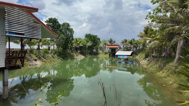 กิจการโรงงานผสมปูน + ร้านวัสดุก่อสร้าง, Buri Ram, Huai Rat, Buri Ram, , 2,000 sqm, Warehouse/Factory For Sale, by Kanyarak Borwornsetthaskul, 500192047 - DDproperty.com