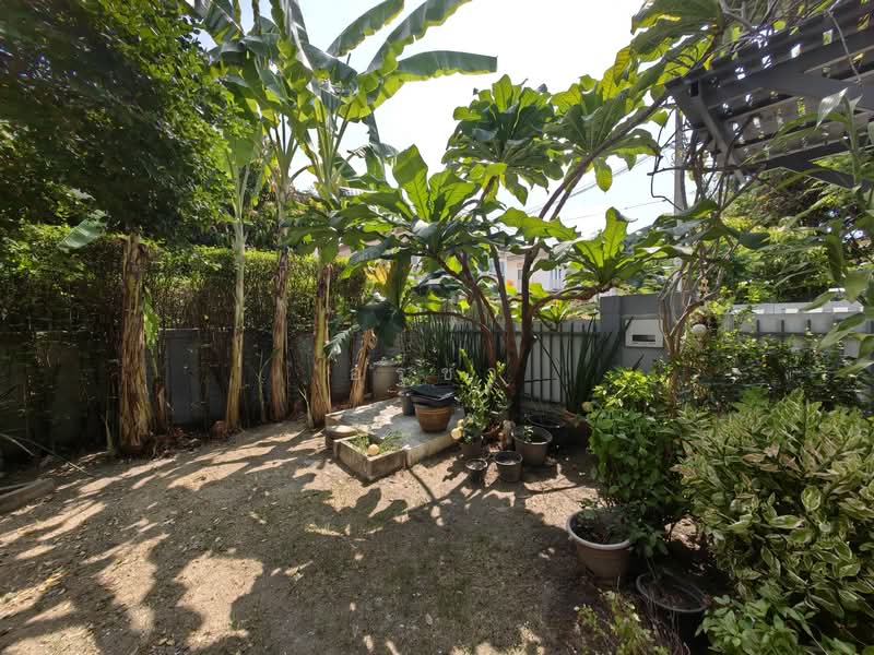 The Plant Wongwaen - Ramintra, Bangkok, กาญจนาภิเษก, Tha Rang, Bang Khen, Bangkok, 4 Bedrooms, 180 sqm, Single Detached House For Sale, by Aruchar (Jang), 500192144 - DDproperty.com