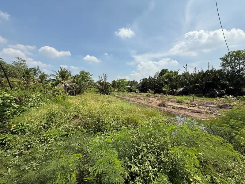 ขาย - พระประแดง, สมุทรปราการ