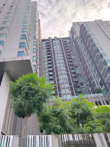 Rhythm Sukhumvit 36-38, Bangkok, 55 Soi Sukhumvit 36, Sukhumvit Road, Phra Kanong, Khlong Toei, Bangkok, 1 Bedroom, 49 sqm, Condo For Rent, by Vichai  Annavakulthorn, 500192250 - DDproperty.com