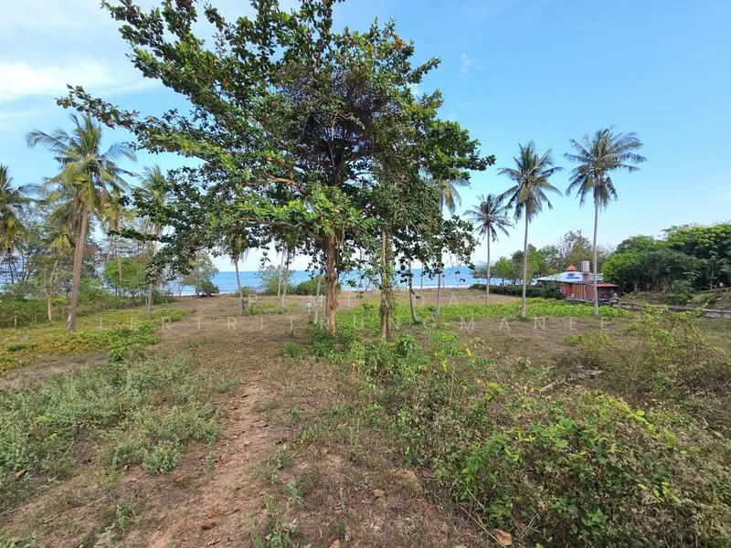 ซอยทุ่งนุ่นล่าง, Prachuap Khiri Khan, Phungprasan, Bang Saphan, Prachuap Khiri Khan, , 18,360 sqm, Land For Sale, by Pimlada Lertritrungmanee, 500192327 - DDproperty.com