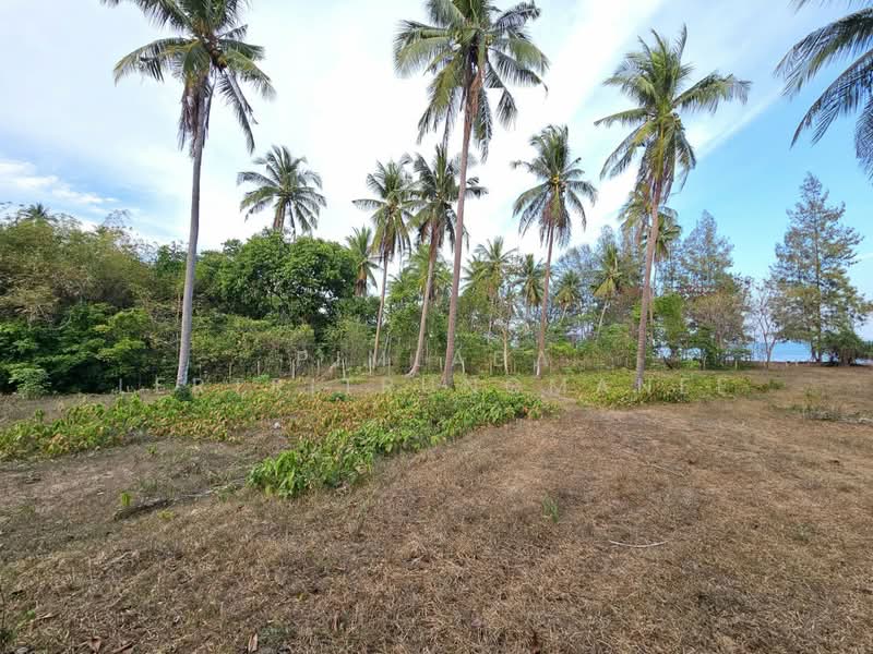 ซอยทุ่งนุ่นล่าง, Prachuap Khiri Khan, Phungprasan, Bang Saphan, Prachuap Khiri Khan, , 18,360 sqm, Land For Sale, by Pimlada Lertritrungmanee, 500192327 - DDproperty.com