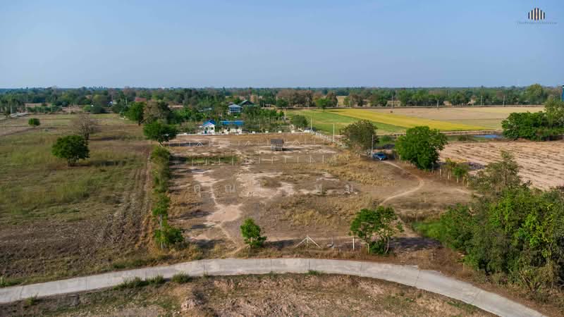 ถูกสุดในย่านนี้! ขายที่ดินบ้านสวน 1 ไร่ 3 งาน เพียง 6 แสนบาท (ตร.วาละไม่ถึง 1,000 บาท) น้ำ-ไฟพร้อม, Suphan Buri, Don Chedi, Don Chedi, Suphan Buri, , 2,800 sqm, Land For Sale, by คุณโอห์ม, 500192335 - DDproperty.com