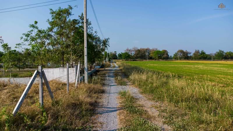 ถูกสุดในย่านนี้! ขายที่ดินบ้านสวน 1 ไร่ 3 งาน เพียง 6 แสนบาท (ตร.วาละไม่ถึง 1,000 บาท) น้ำ-ไฟพร้อม, Suphan Buri, Don Chedi, Don Chedi, Suphan Buri, , 2,800 sqm, Land For Sale, by คุณโอห์ม, 500192335 - DDproperty.com