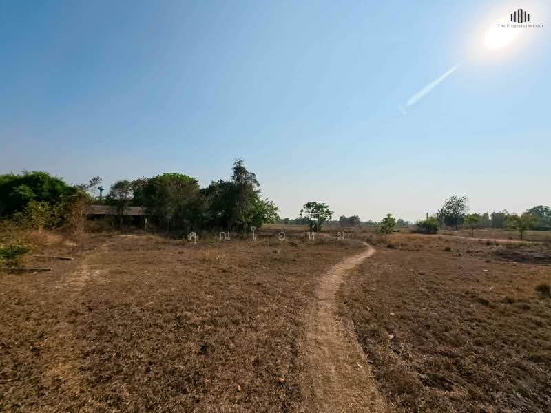 ขาย - ถูกสุดในย่านนี้! ขายที่ดินบ้านสวน 1 ไร่ 3 งาน เพียง 6 แสนบาท (ตร.วาละไม่ถึง 1,000 บาท) น้ำ-ไฟพร้อม, สุพรรณบุรี