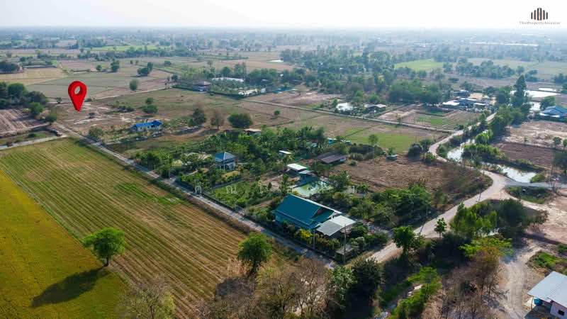 ขาย - ถูกสุดในย่านนี้! ขายที่ดินบ้านสวน 1 ไร่ 3 งาน เพียง 6 แสนบาท (ตร.วาละไม่ถึง 1,000 บาท) น้ำ-ไฟพร้อม, สุพรรณบุรี