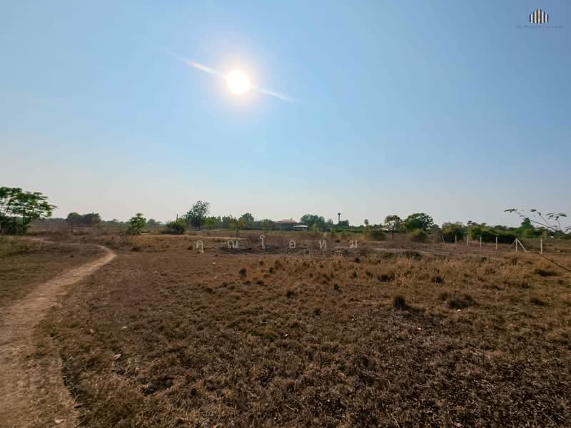 ถูกสุดในย่านนี้! ขายที่ดินบ้านสวน 1 ไร่ 3 งาน เพียง 6 แสนบาท (ตร.วาละไม่ถึง 1,000 บาท) น้ำ-ไฟพร้อม, Suphan Buri, Don Chedi, Don Chedi, Suphan Buri, , 2,800 sqm, Land For Sale, by คุณโอห์ม, 500192335 - DDproperty.com