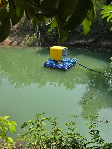 ที่ดินแสลง จันทบุรี, จันทบุรี, แสลง, เมืองจันทบุรี, จันทบุรี, 29,204 ตร.ม., ที่ดิน ขาย, โดย The Best Property ยุ้ย, 500192336 - DDproperty.com