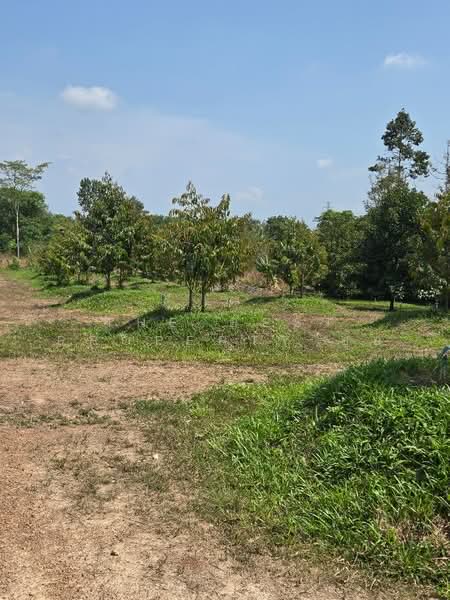 ที่ดินแสลง จันทบุรี, Chanthaburi, Salaeng, Muang Chanthaburi, Chanthaburi, , 29,204 sqm, Land For Sale, by The Best Property ยุ้ย, 500192336 - DDproperty.com