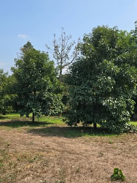 ที่ดินแสลง จันทบุรี, Chanthaburi, Salaeng, Muang Chanthaburi, Chanthaburi, , 29,204 sqm, Land For Sale, by The Best Property ยุ้ย, 500192336 - DDproperty.com