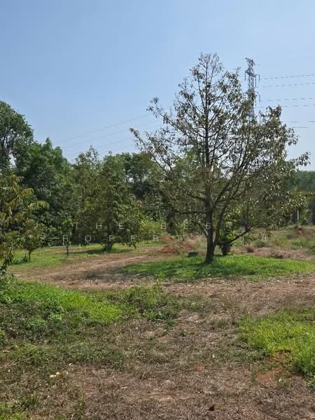 ที่ดินแสลง จันทบุรี, Chanthaburi, Salaeng, Muang Chanthaburi, Chanthaburi, , 29,204 sqm, Land For Sale, by The Best Property ยุ้ย, 500192336 - DDproperty.com