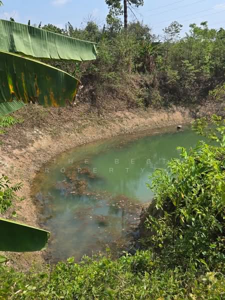 ที่ดินแสลง จันทบุรี, Chanthaburi, Salaeng, Muang Chanthaburi, Chanthaburi, , 29,204 sqm, Land For Sale, by The Best Property ยุ้ย, 500192336 - DDproperty.com