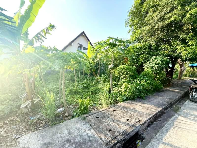ที่ดินวัดใหม่ จันทบุรี, Chanthaburi, Wat Mai, Muang Chanthaburi, Chanthaburi, , 160 sqm, Land For Sale, by The Best Property  เมญ่า, 500192392 - DDproperty.com