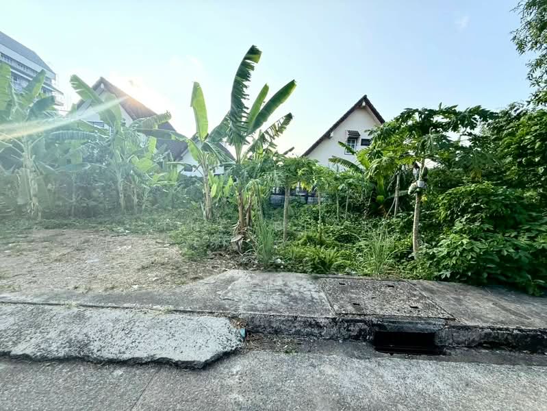 ที่ดินวัดใหม่ จันทบุรี, จันทบุรี, วัดใหม่, เมืองจันทบุรี, จันทบุรี, 160 ตร.ม., ที่ดิน ขาย, โดย The Best Property  เมญ่า, 500192392 - DDproperty.com