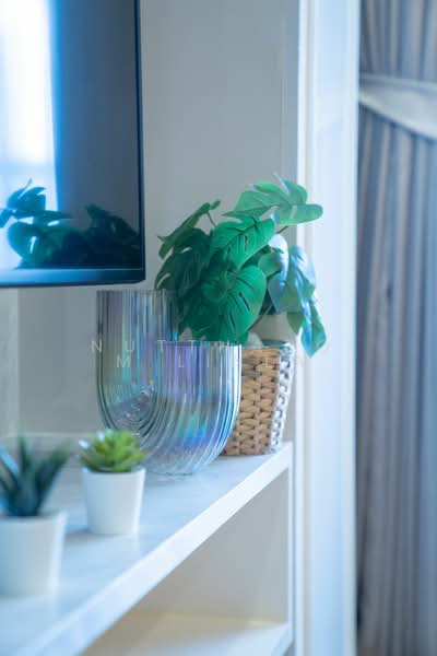 The Nest Sukhumvit 64, Bangkok, 408 Soi Sukhumvit 64, Bang Chak, Phra Khanong, Bangkok, 2 Bedrooms, 45 sqm, Condo For Sale, by Nuttharom Linla , 500192462 - DDproperty.com