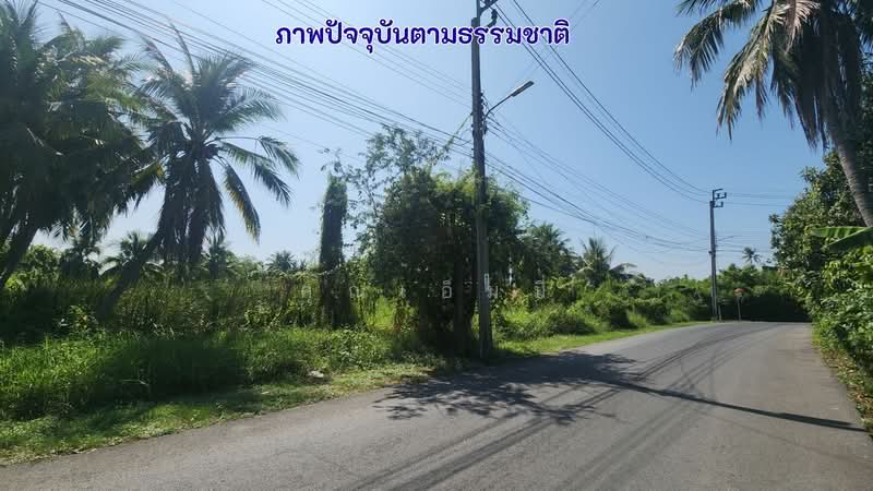 ขายที่ดินท่าอิฐ – ไทรม้า – ราชพฤกษ์ นนทบุรี 3 ไร่ 3 งาน | เหมาะสร้าง Luxury Private Estate, Nonthaburi, Sai Ma, Muang Nonthaburi, Nonthaburi, , 6,352 sqm, Land For Sale, by คุณเอ็มมี่, 500192593 - DDproperty.com