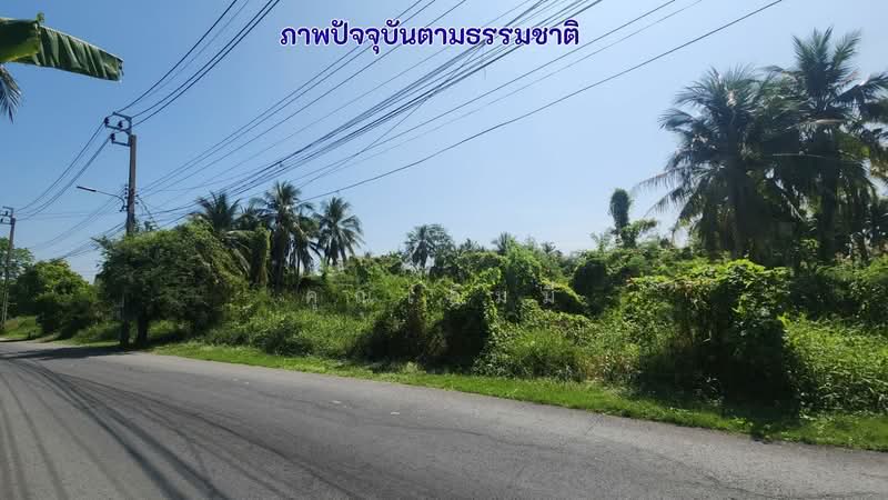 ขายที่ดินท่าอิฐ – ไทรม้า – ราชพฤกษ์ นนทบุรี 3 ไร่ 3 งาน | เหมาะสร้าง Luxury Private Estate, นนทบุรี, ไทรม้า, เมืองนนทบุรี, นนทบุรี, 6,352 ตร.ม., ที่ดิน ขาย, โดย คุณเอ็มมี่, 500192593 - DDproperty.com