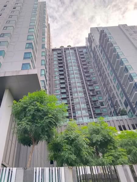 Rhythm Sukhumvit 36-38, Bangkok, 55 Soi Sukhumvit 36, Sukhumvit Road, Phra Kanong, Khlong Toei, Bangkok, 1 Bedroom, 49 sqm, Condo For Rent, by Ploypatcha Chomchid, 500192598 - DDproperty.com